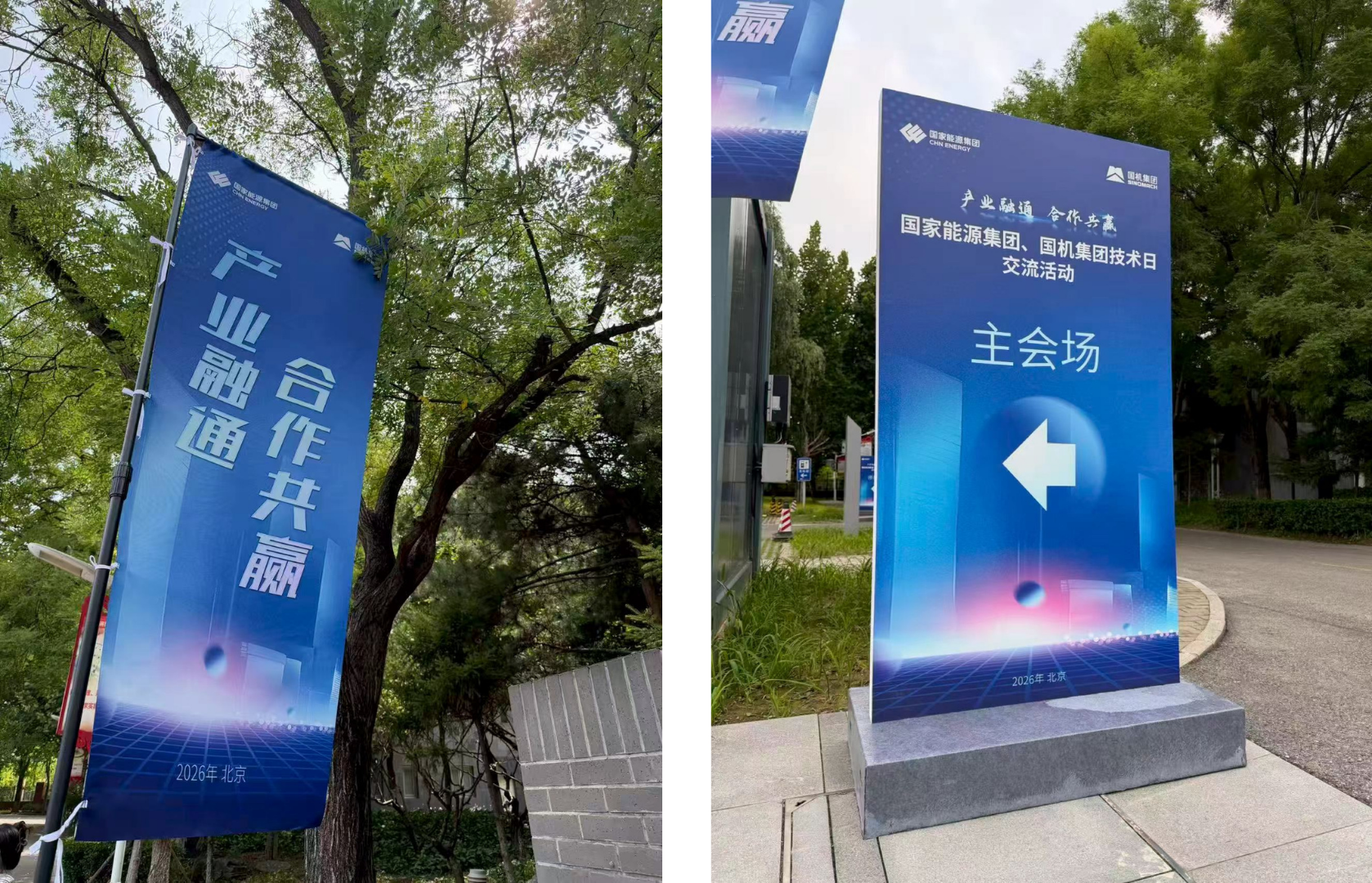 总协调 (3).png